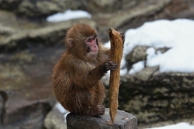 考えること